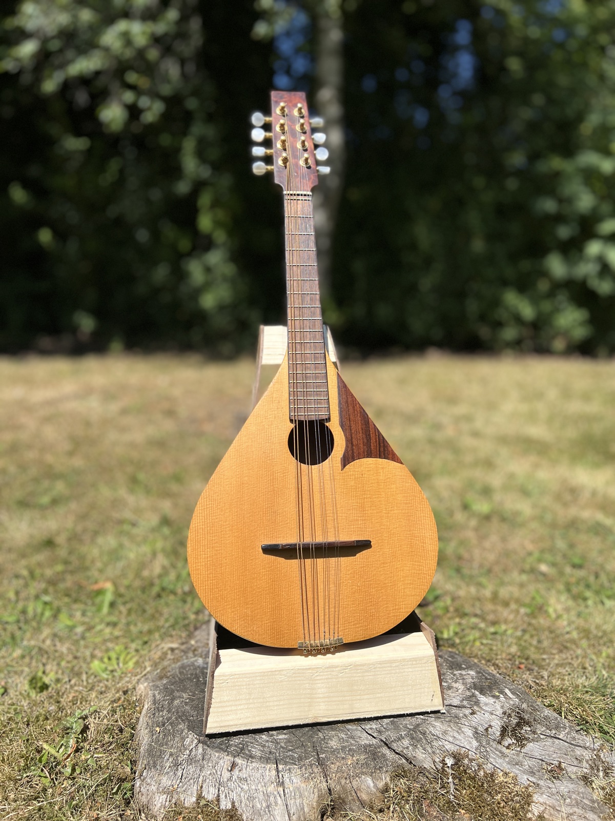 A flat-backed mandolin on a stand in the garden