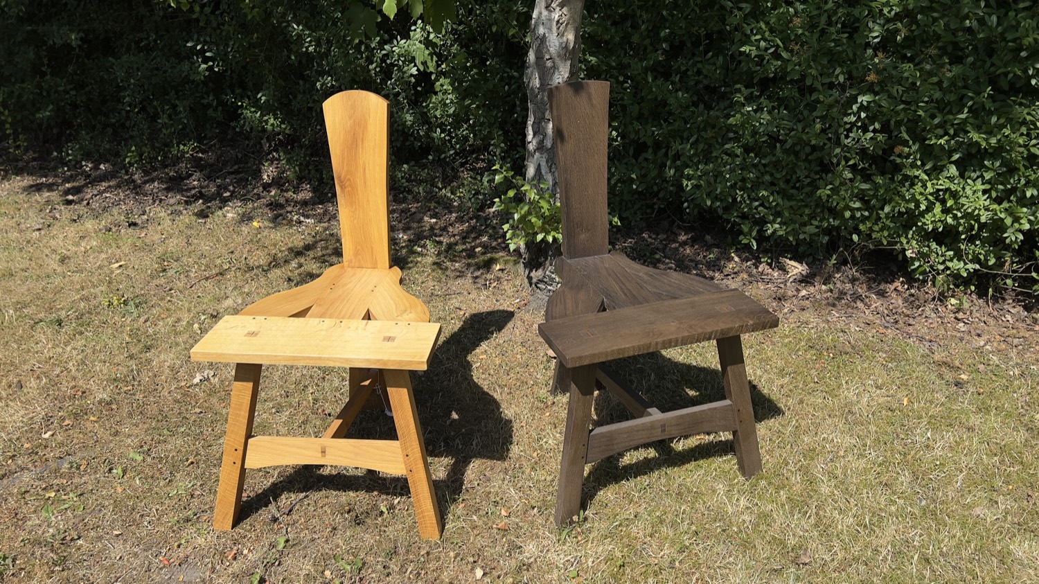 Two Sligo chairs in the garden — one in pale seasoned oak, one in dark bog oak