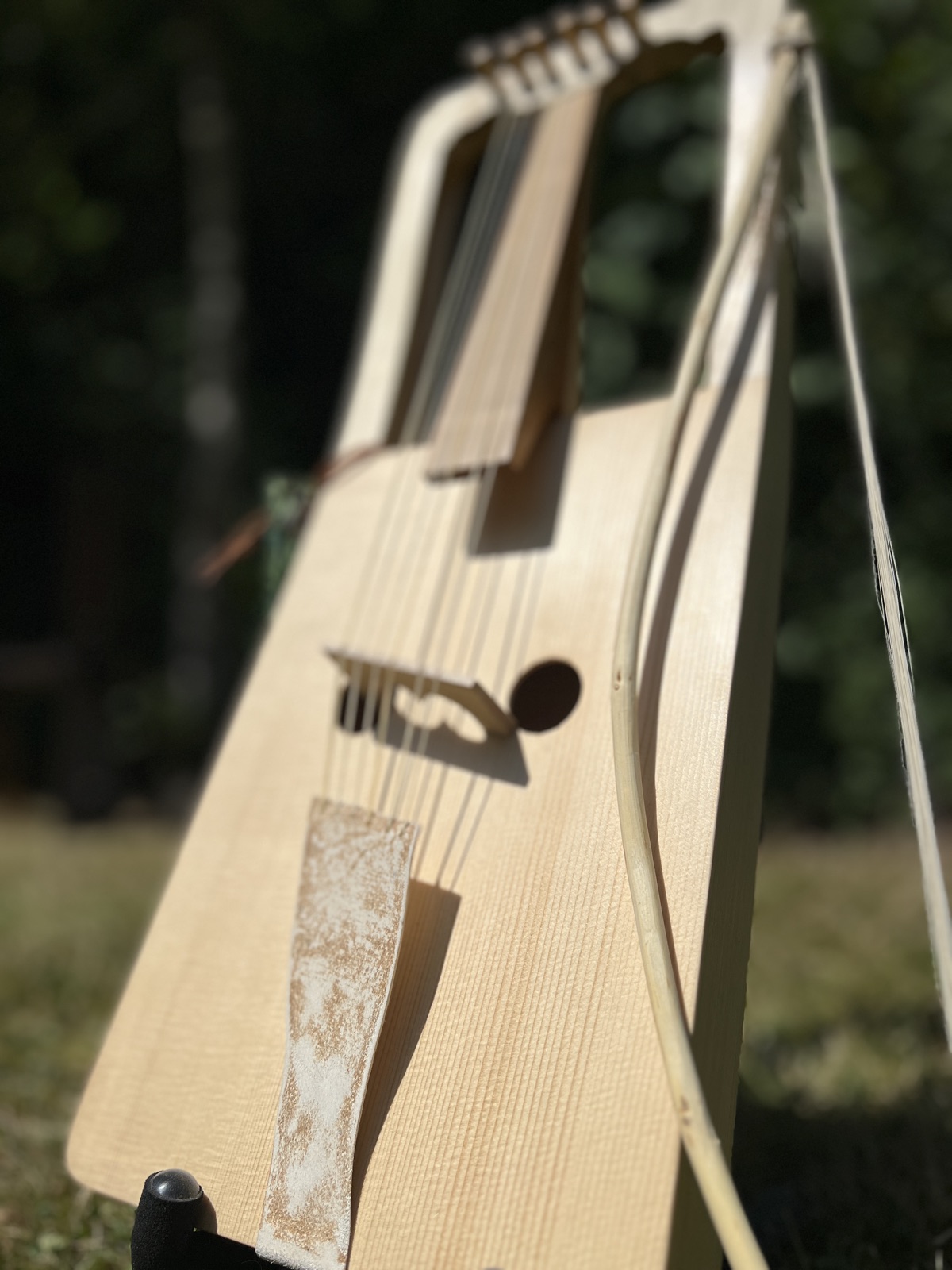 The soundboard of a crwth in sunlight — the keyhole soundhole, the bridge and gut strings